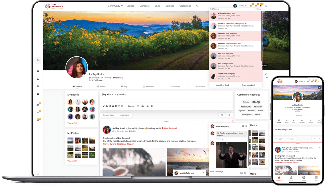 THE INSURANCE COLLECTIVE PLAYGROUND